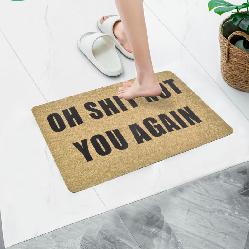 ChezMax Doormat Non-Slip Door Mat Waterproof Funny Rugs Indoor Outdoor Carpet Universal Welcome Mat Front Door Mud Absorbent for Floor Entrance Entryway - Image 4